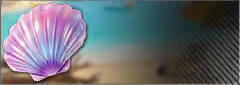 banner_Summer2026_packGift.png