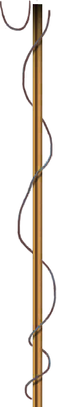 bg_Crown_ganenjie_tab06.png