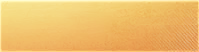 btn_com_Summer_activities2026.png