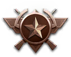 Icon_zhounianMain_huizhang01.png
