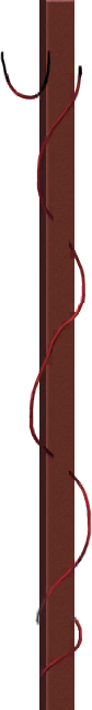 bg_Anniversary2026_tab.png