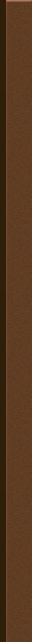 bg_dzhjr_znqMain_tab06.png