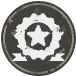 ICON_Achievement_1.png