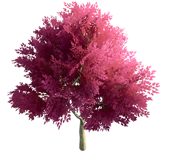 ICON_RoomDecorate_cherrytree_01.png