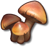 ICON_mushroom2.png