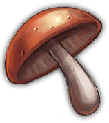 ICON_mushroom3.png