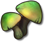 ICON_mushroom5.png