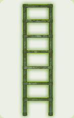 UI_Build_Green_ladder.png