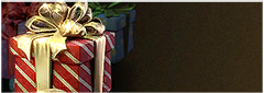 activity_banner_140000.png