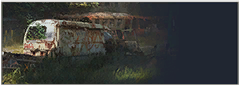 activity_banner_700014.png