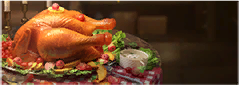 activity_banner_ganenjie.png