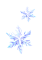icon_item_Frame_Christmas202412_06.png