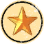 icon_policy_star3.png