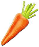 icon_radish.png