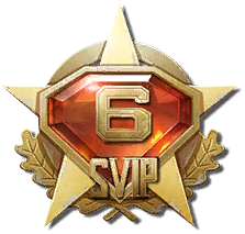 icon_svip6.png