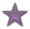 icon_tag_star.png