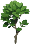 icon_tree_1.png
