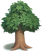 icon_tree_2.png