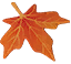 img_thanksgiving_leaf.png
