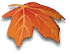 img_thanksgiving_leaf3.png