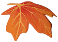 img_thanksgiving_leaf4.png