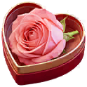 icon_2026Valentine_checkin_1.png