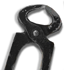 icon_yjtz_banshou.png